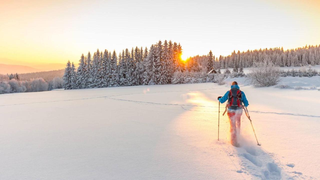 Chambre Privee Au Pied Des Pistes - Chambre Chez L'Habitant - Chaletnelda Com لامورا المظهر الخارجي الصورة