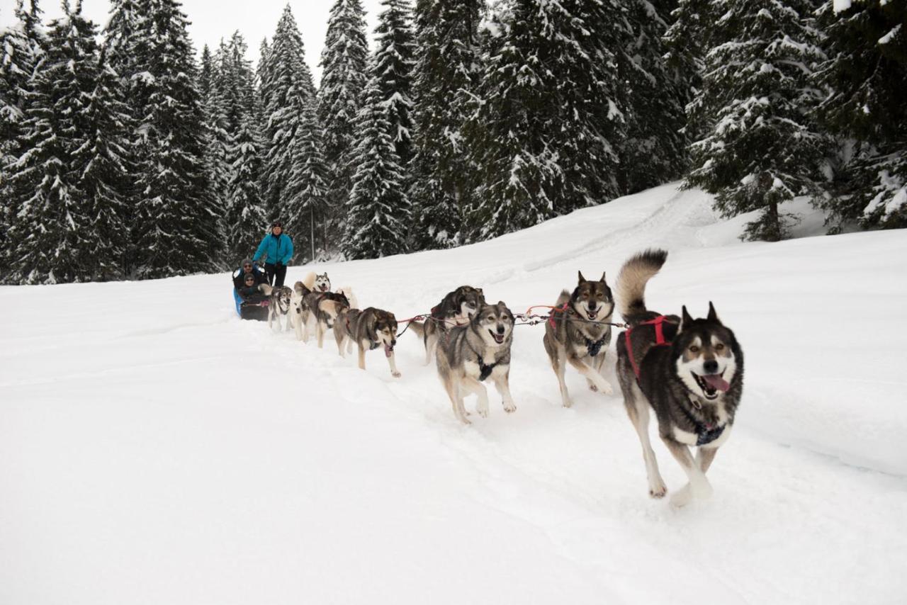 Chambre Privee Au Pied Des Pistes - Chambre Chez L'Habitant - Chaletnelda Com لامورا المظهر الخارجي الصورة